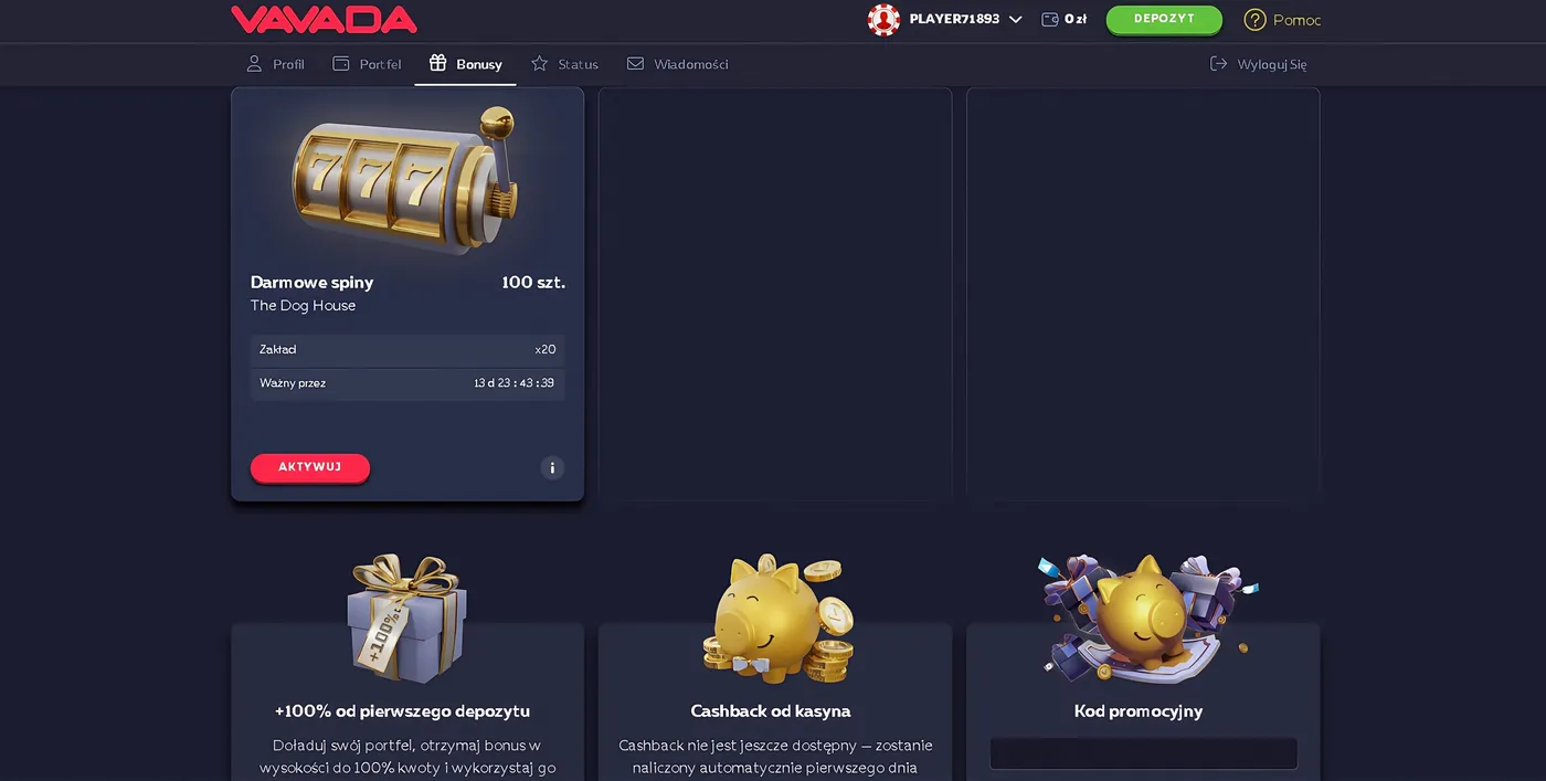Bonusy i promocje w Vavada Casino aplikacja